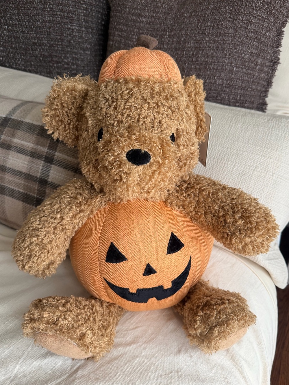 Viral Martha Stewart Plush Pumpkin Bear in Orange Pumpkin Costume